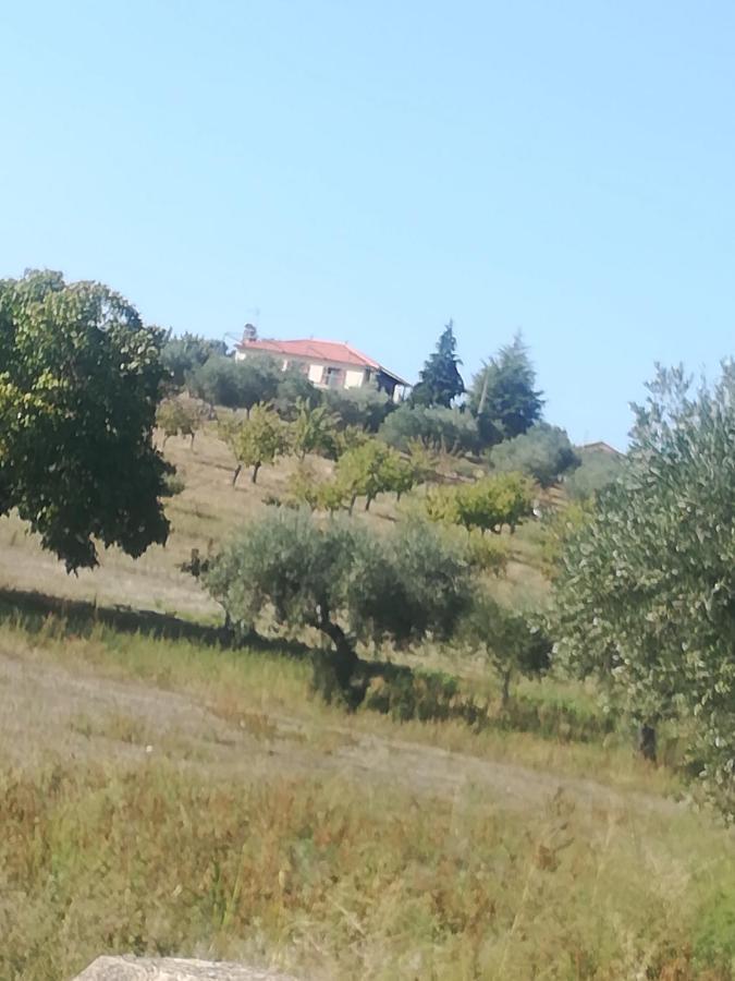Casa Das Argolas Macedo de Cavaleiros Luaran gambar